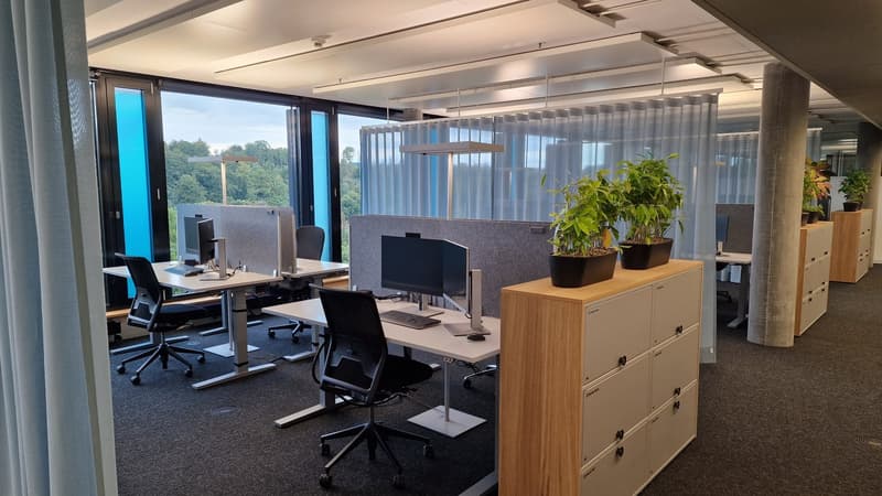 Wachstum beginnt hier: Ideal für Büro, Praxis oder Schule! (10)
