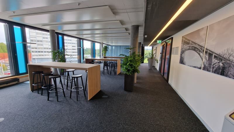 Wachstum beginnt hier: Ideal für Büro, Praxis oder Schule! (11)