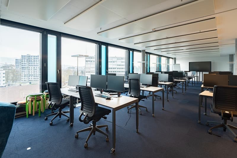 Wachstum beginnt hier: Ideal für Büro, Praxis oder Schule! (13)