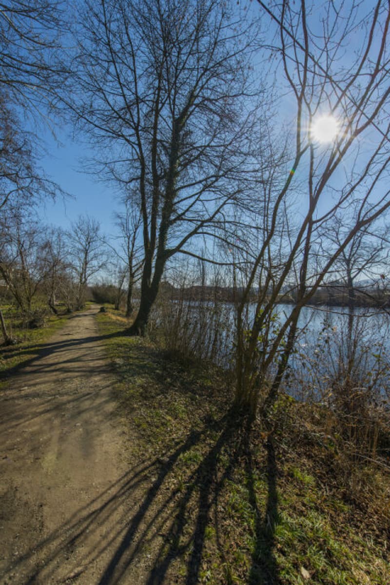 Liegenschaft direkt an der Limmat