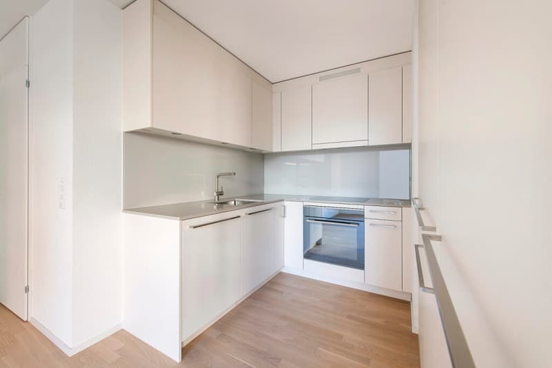 Modern ground-floor apartment near Dübendorf airport (2)