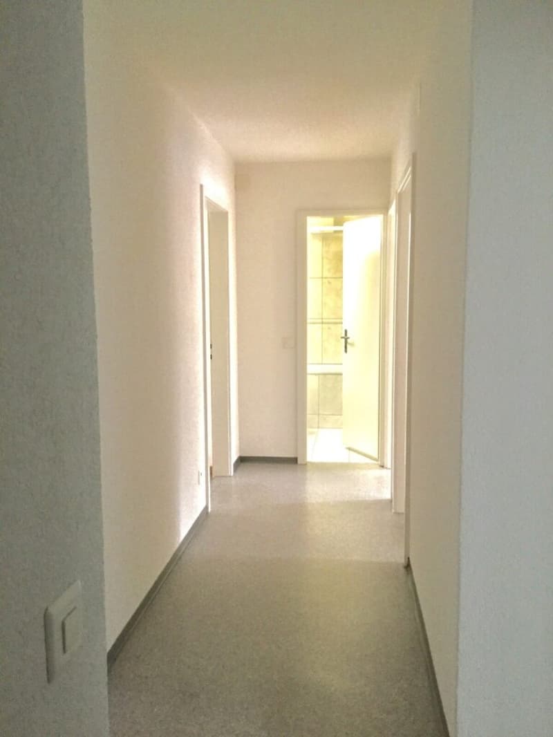 Appartamento 3 locali luminoso in una zona residenziale tranquilla (5)