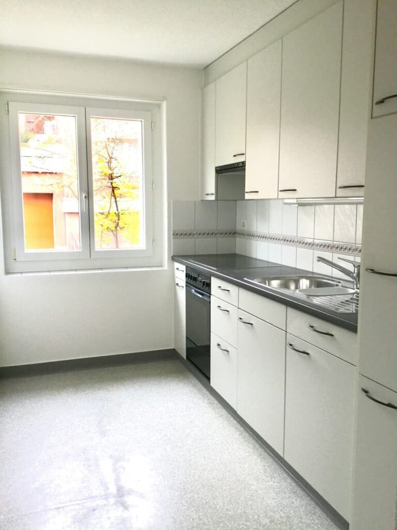 Appartamento 3 locali luminoso in una zona residenziale tranquilla (2)