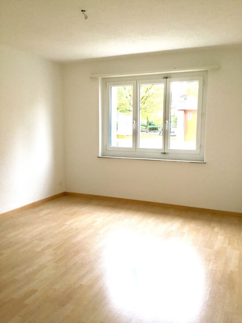 Appartamento 3 locali luminoso in una zona residenziale tranquilla (4)
