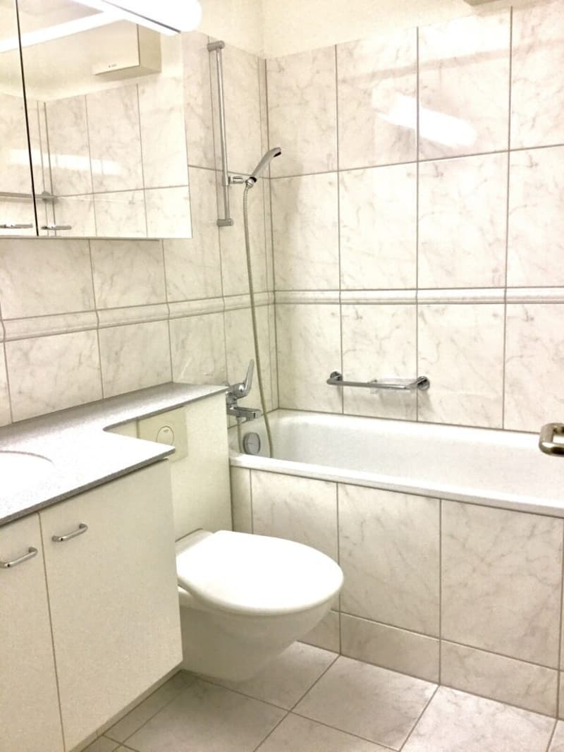 Appartamento 3 locali luminoso in una zona residenziale tranquilla (3)