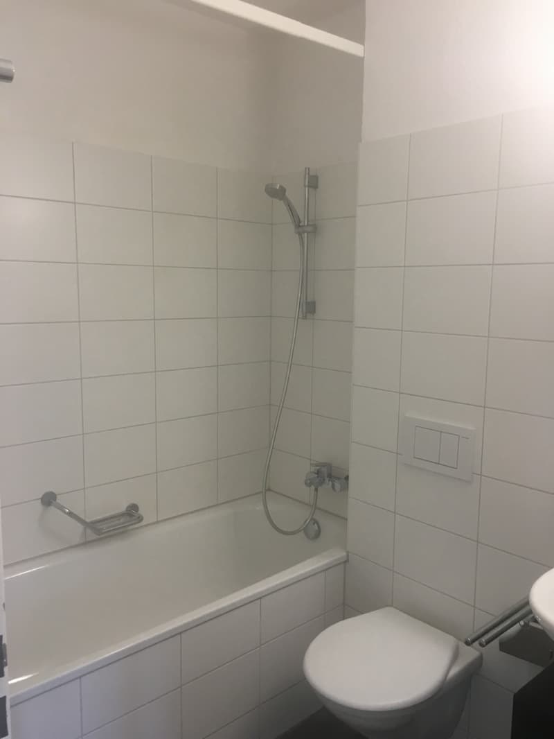 2.5-room apartment on the 2nd floor (4)