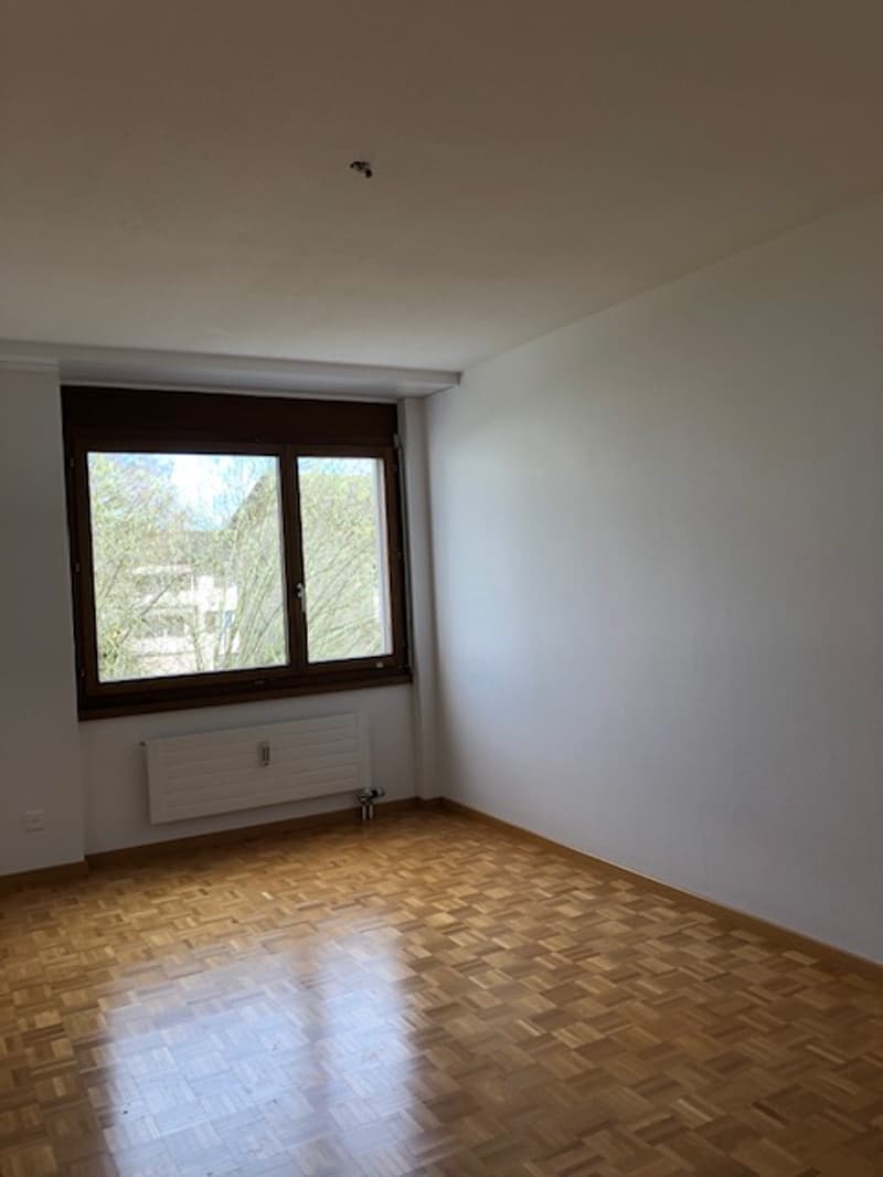 Zimmer - typähnlich