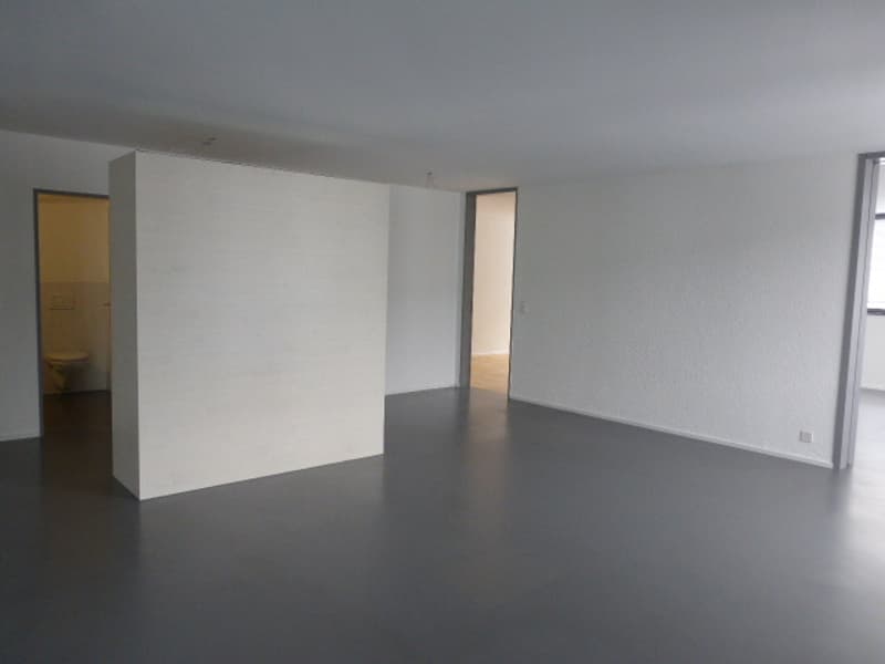 Urban living in Glattpark? (5)