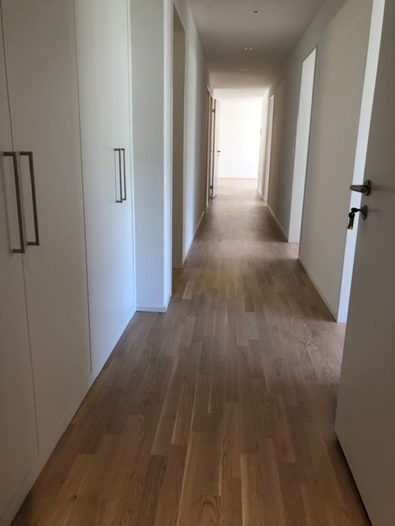 Korridor / typähnlich