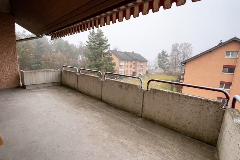 Ampio appartamento familiare in una zona residenziale tranquilla (8)