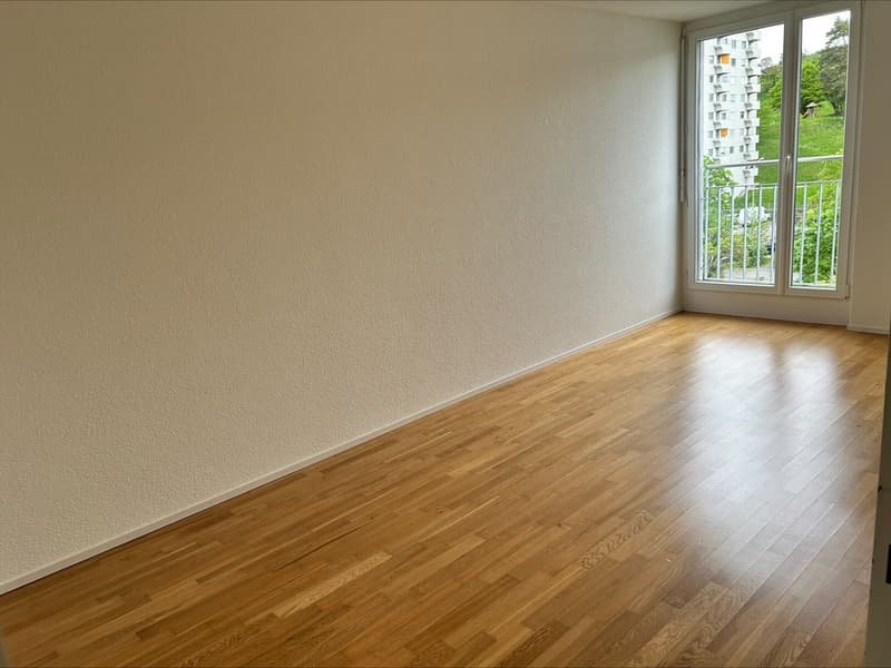 Zimmer2
