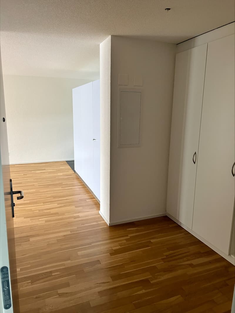 Eingang mit Einbauschränken