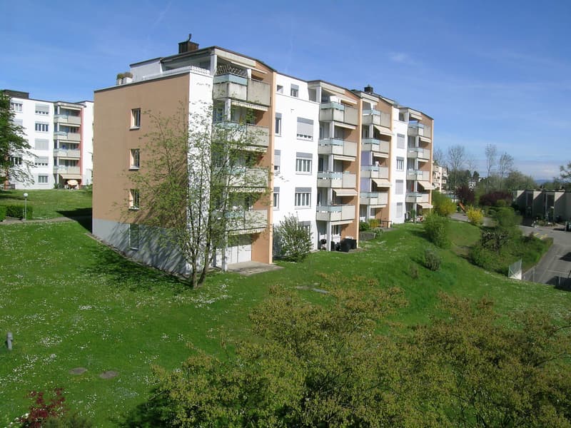 Wohnen im Naherholungsgebiet, direkt an der Limmat (1)