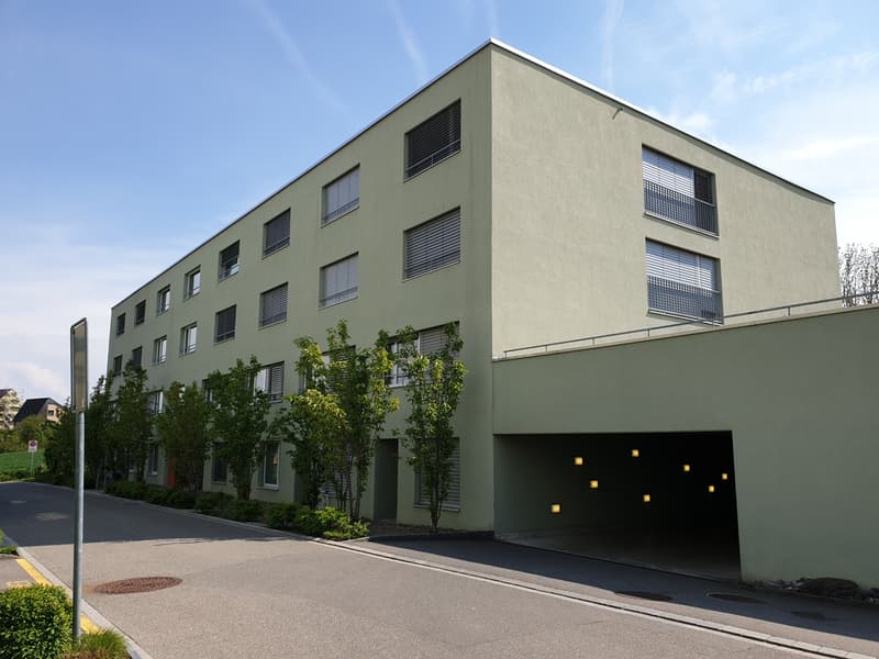 schöne Maisonette-Wohnung in Wallisellen (2)