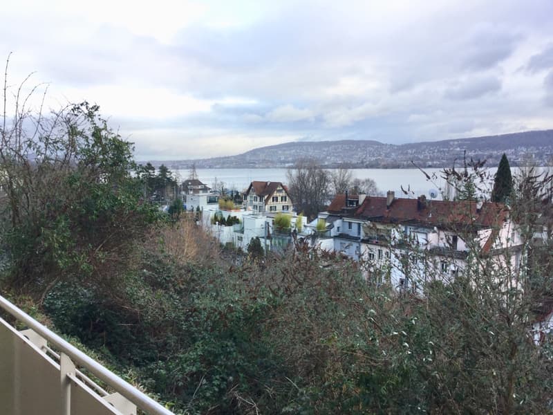 an ländlicher Lage in Wollishofen! (3)