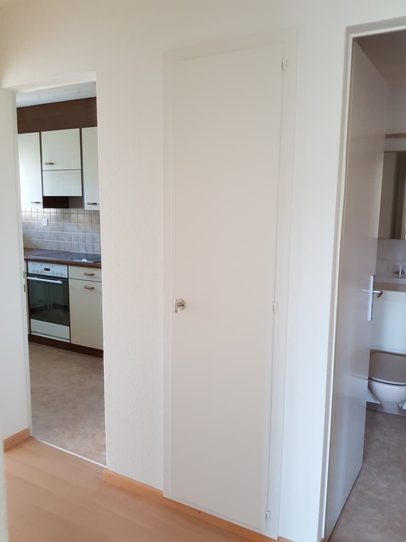 Beautiful 3-room apartment (6)