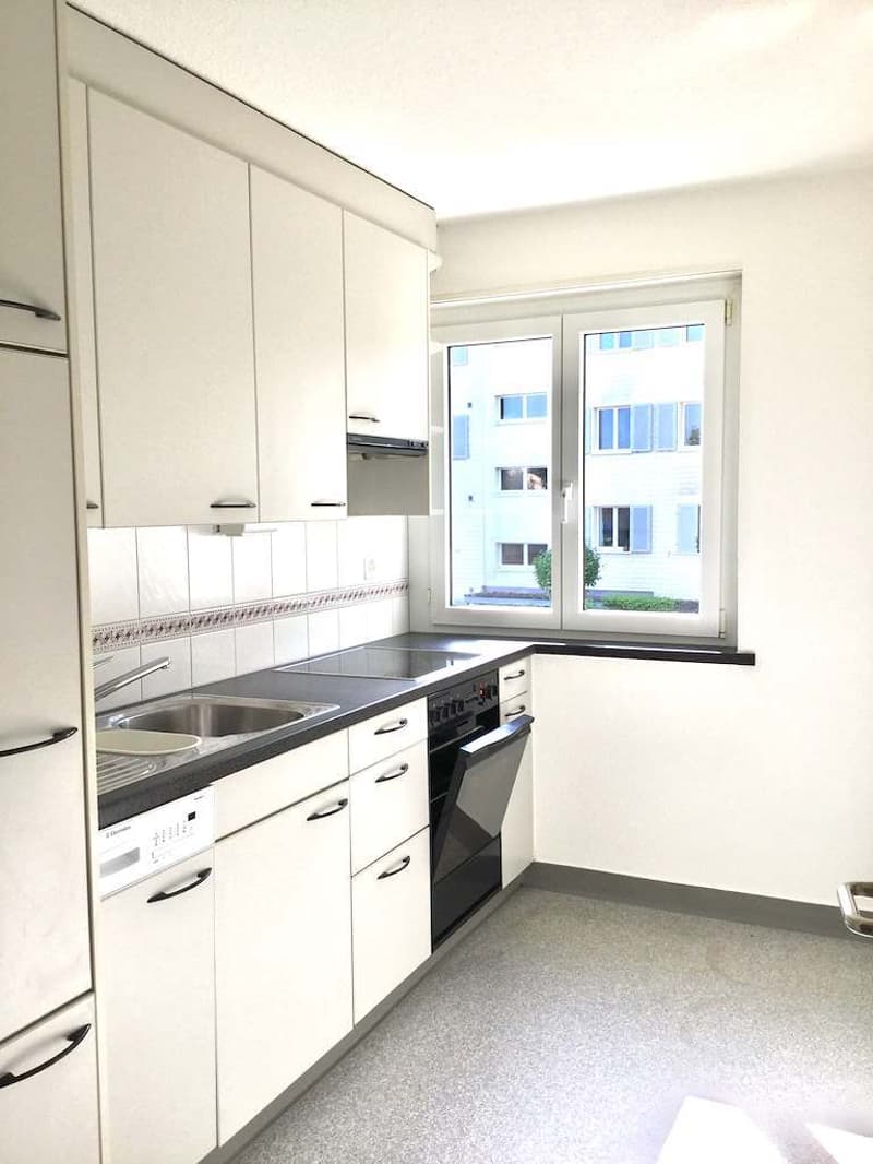 Piccolo ma fine... appartamento monostanza a Zürich-Affoltern (2)