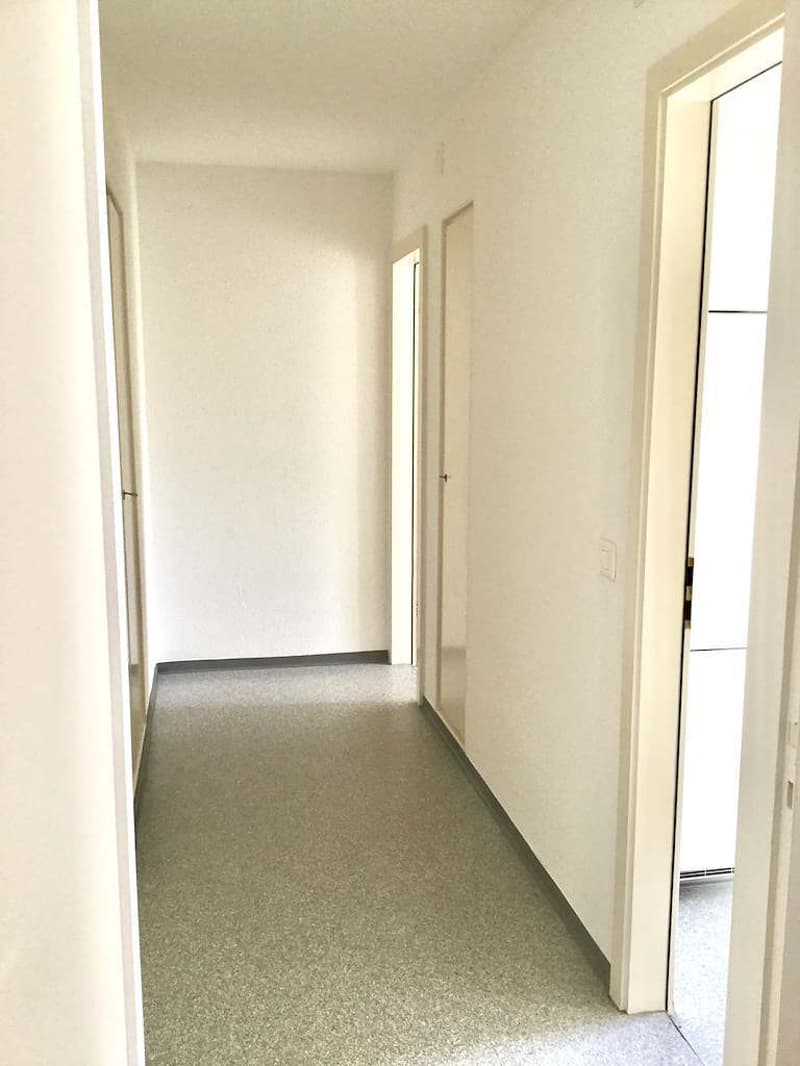 Piccolo ma fine... appartamento monostanza a Zürich-Affoltern (4)