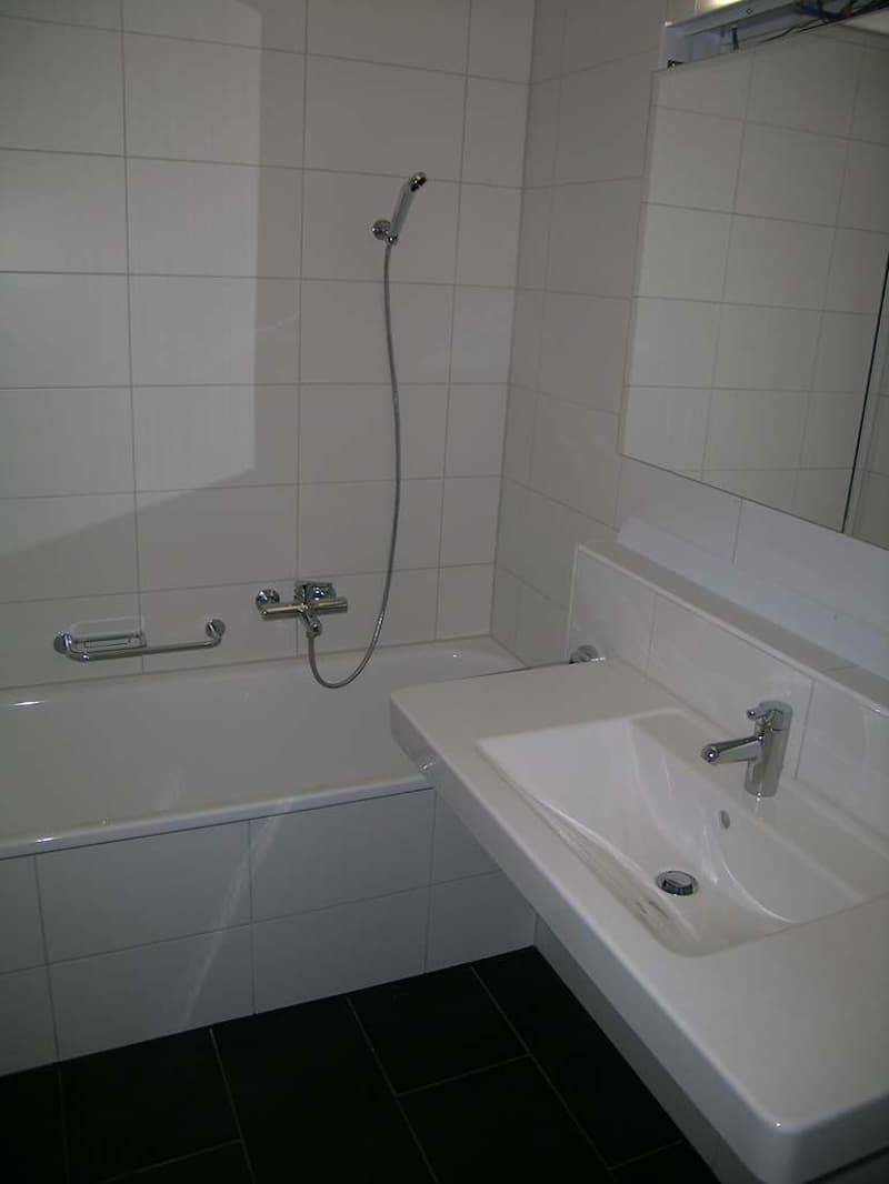 Small but fine... 1-room apartment in Dietlikon (3)