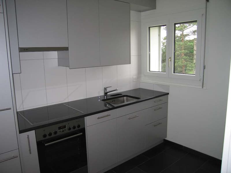 Small but fine... 1-room apartment in Dietlikon (2)