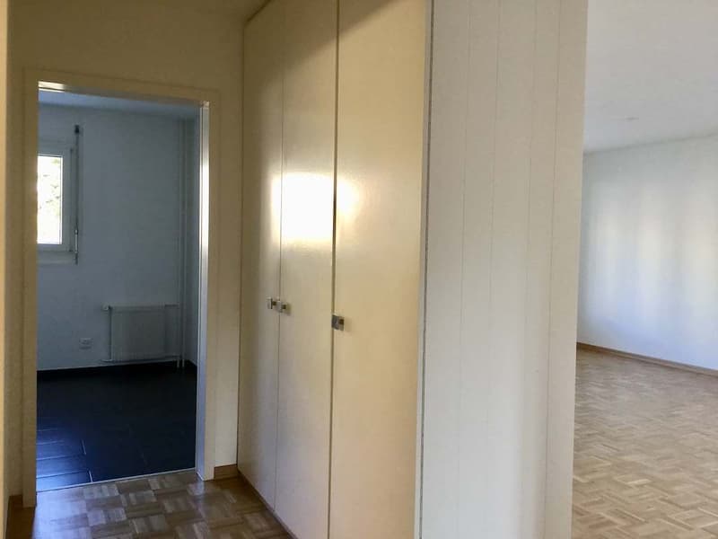 Charmant appartement 3.5 pièces à louer (4)