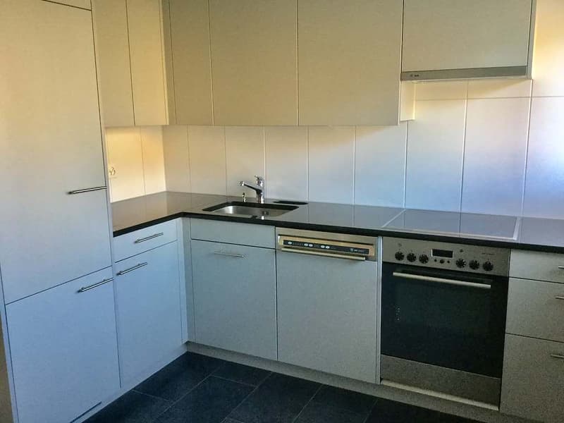 Charmant appartement 3.5 pièces à louer (2)