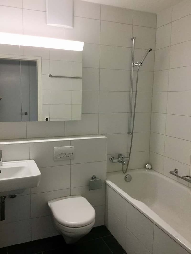 Charmant appartement 3.5 pièces à louer (3)