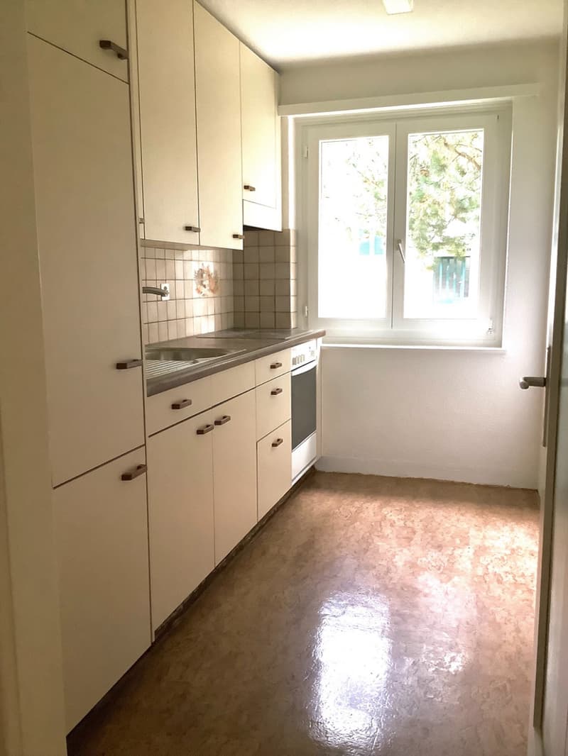 Zentral neben dem Bahnhof Schwerzenbach (2)