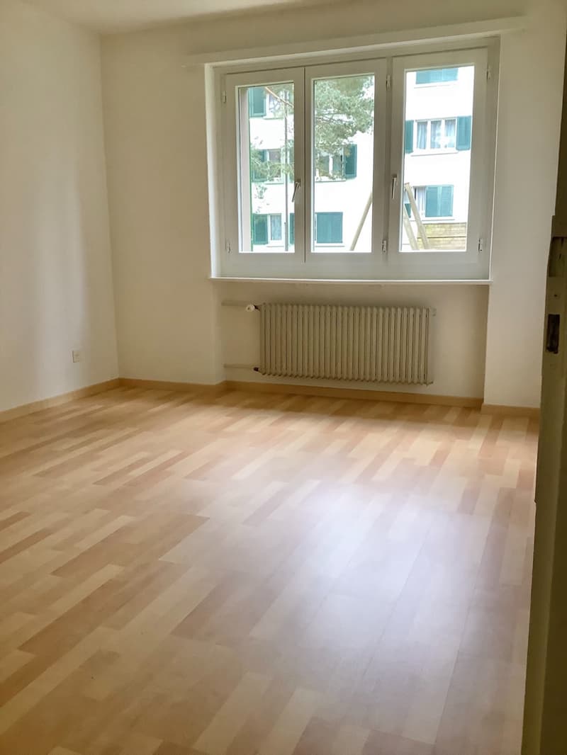 Zentral neben dem Bahnhof Schwerzenbach (4)