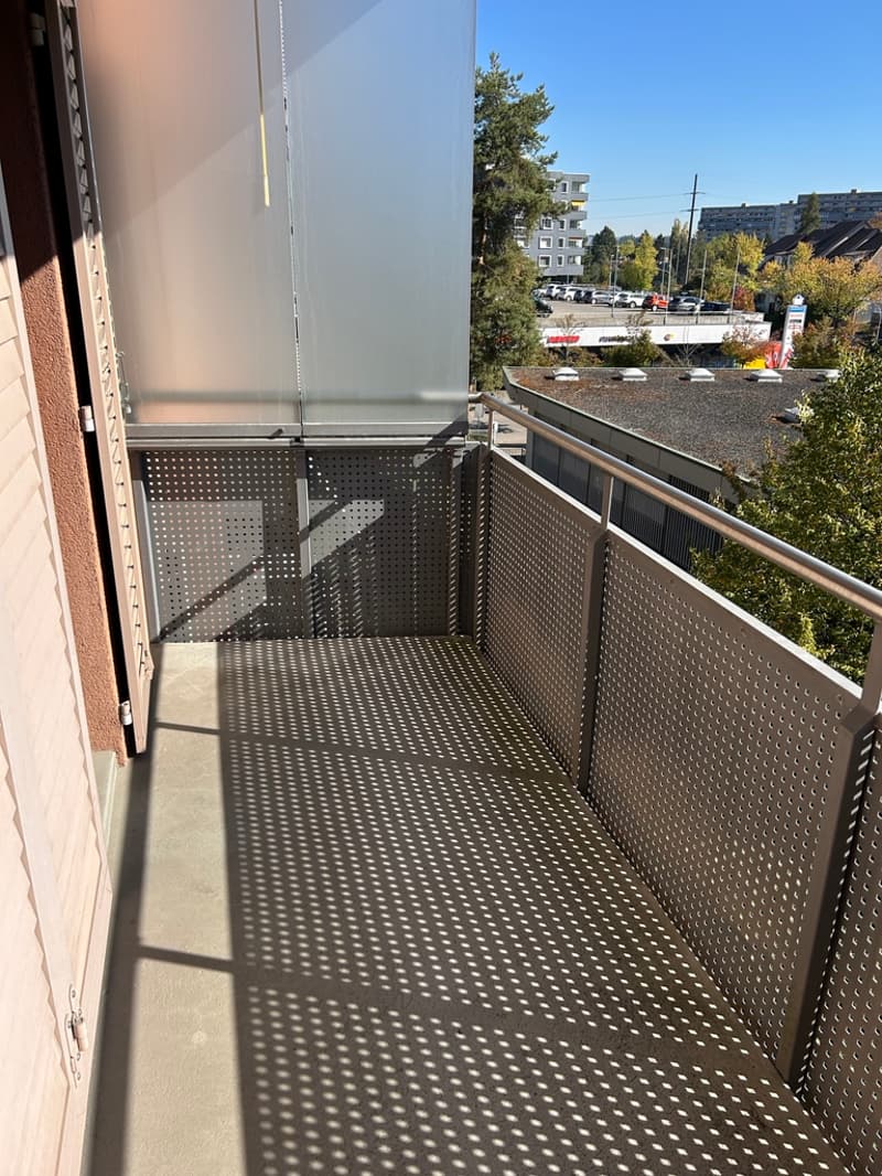 1-Zimmer-Wohnung in Zürich-Affoltern (5)