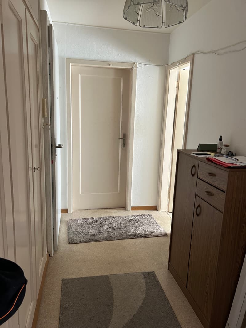 1-Zimmer-Wohnung in Zürich-Affoltern (4)