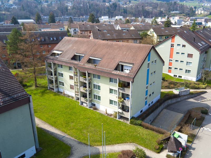 gemütliche Wohnung an der Sihl (1)