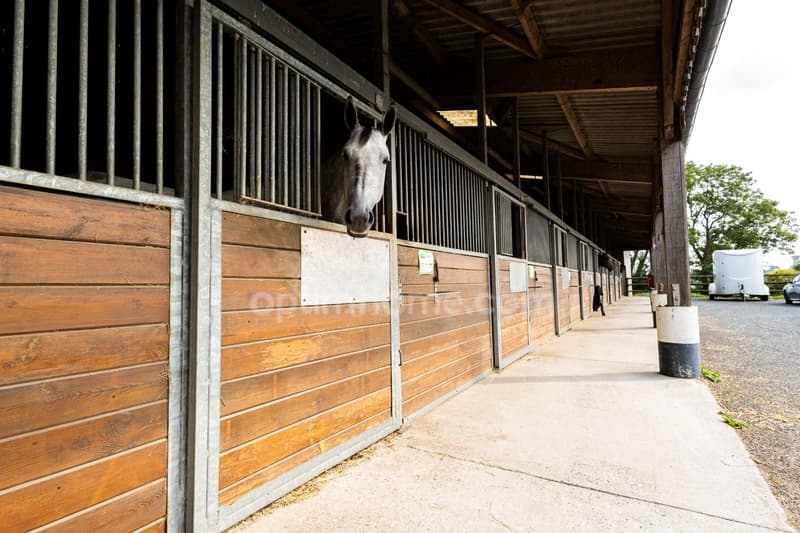 Propriété équestre de prestige sur près de 5 hectares (12)