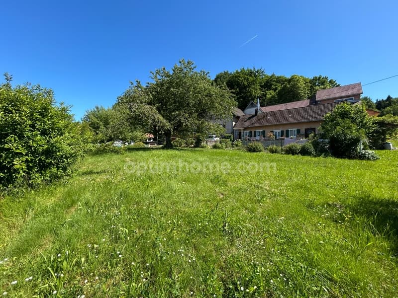 VIEUX-FERRETTE, property consisting of 2 houses, one of which is rented (12)