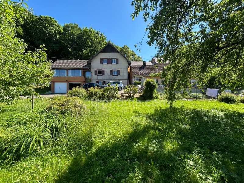 VIEUX-FERRETTE, property consisting of 2 houses, one of which is rented (2)