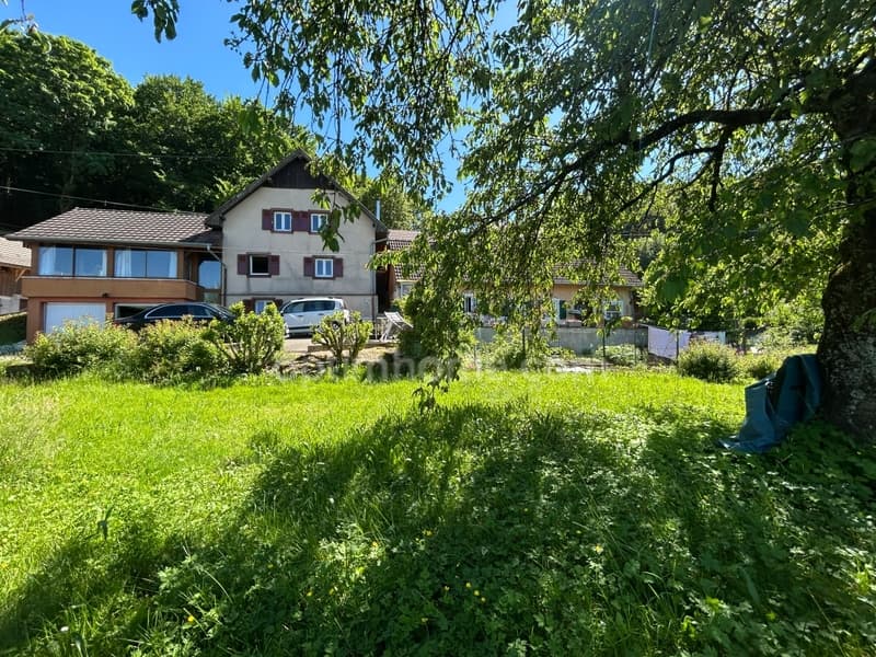 VIEUX-FERRETTE, property consisting of 2 houses, one of which is rented (13)