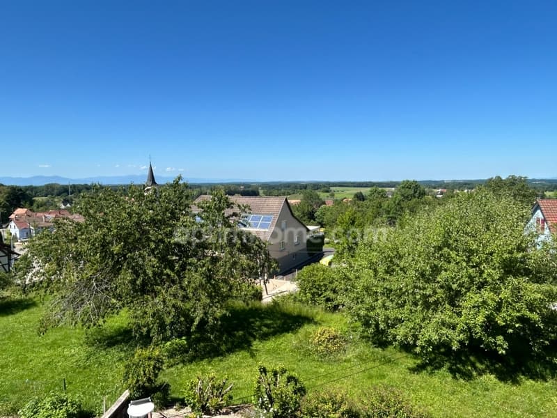 VIEUX-FERRETTE, property consisting of 2 houses, one of which is rented (1)