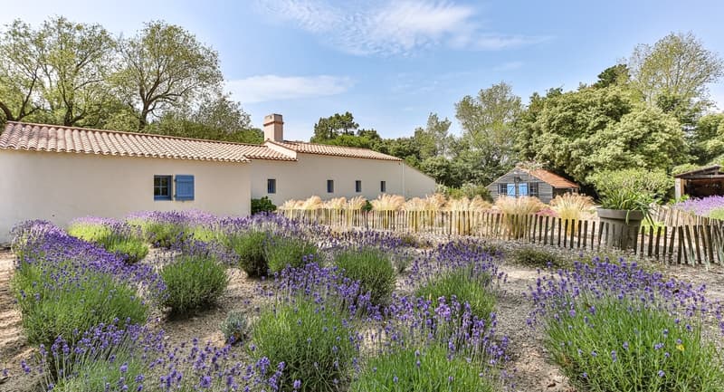 PROPRIETA' DI CHARME - VENDEE (2)