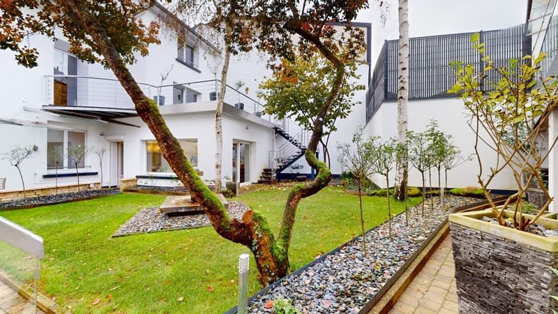 Prestigious real estate complex, residential house and offices (6)