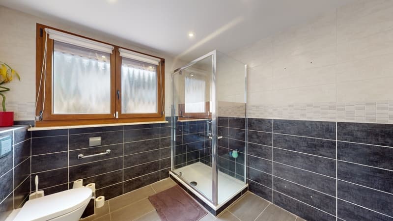 Haus mit 4 Zimmern in LONGLAVILLE (54) zu verkaufen (8)