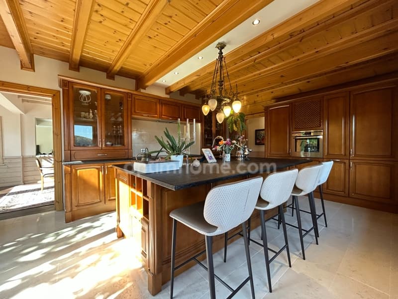 HAGENTHAL LE HAUT, 4Km from the border, High-end Villa, 289.6m² (353m²) (10)