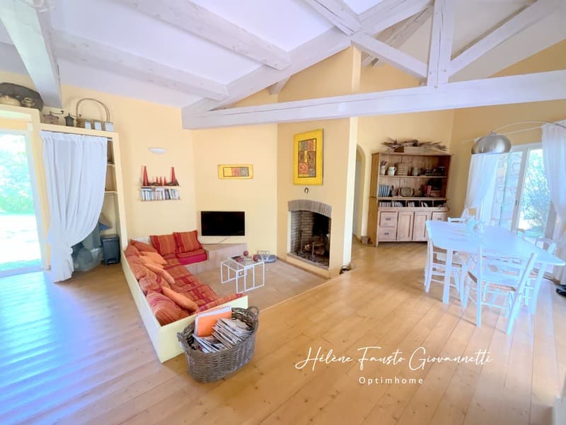 Villa 6 rooms with pool - Land 1.7 hectares - OLETTA (7)