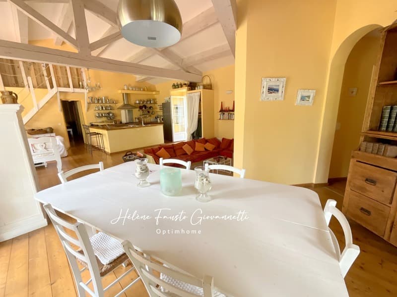 Villa 6 rooms with pool - Land 1.7 hectares - OLETTA (11)