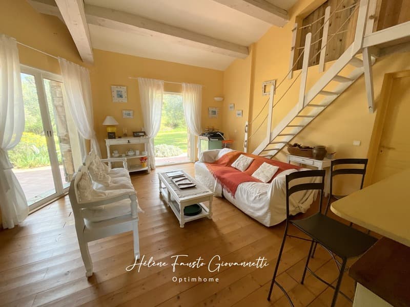 Villa 6 rooms with pool - Land 1.7 hectares - OLETTA (10)