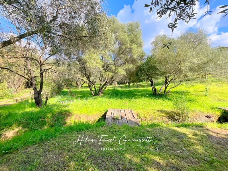 Villa 6 rooms with pool - Land 1.7 hectares - OLETTA (3)