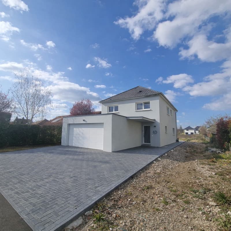 HÉGENHEIM (68) - Villa contemporanea eccezionale alle porte di (3)