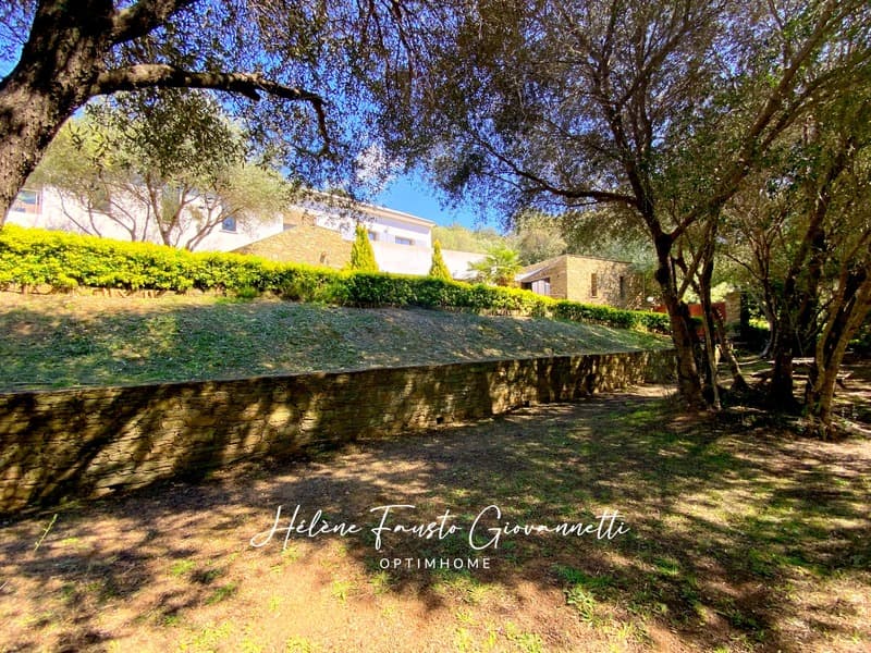 Property 8 rooms - 243 m2 - OLETTA (8)