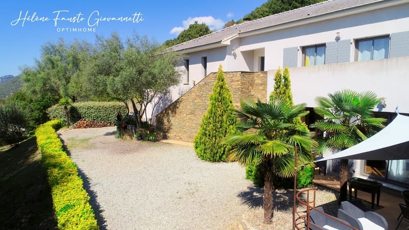 Property 8 rooms - 243 m2 - OLETTA (4)