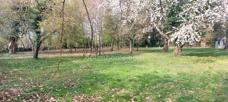 EXCLUSIVITY / HOUSE WITHOUT OPPOSITE IN A QUIET LOCATION! (2)
