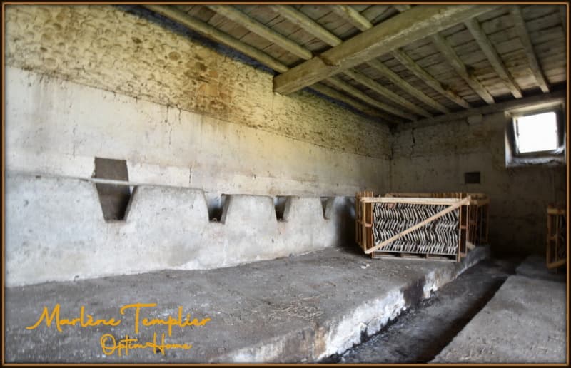 Proprietà eccezionale - Grande potenziale - Affittacamere / Eventi - 8 000 (13)